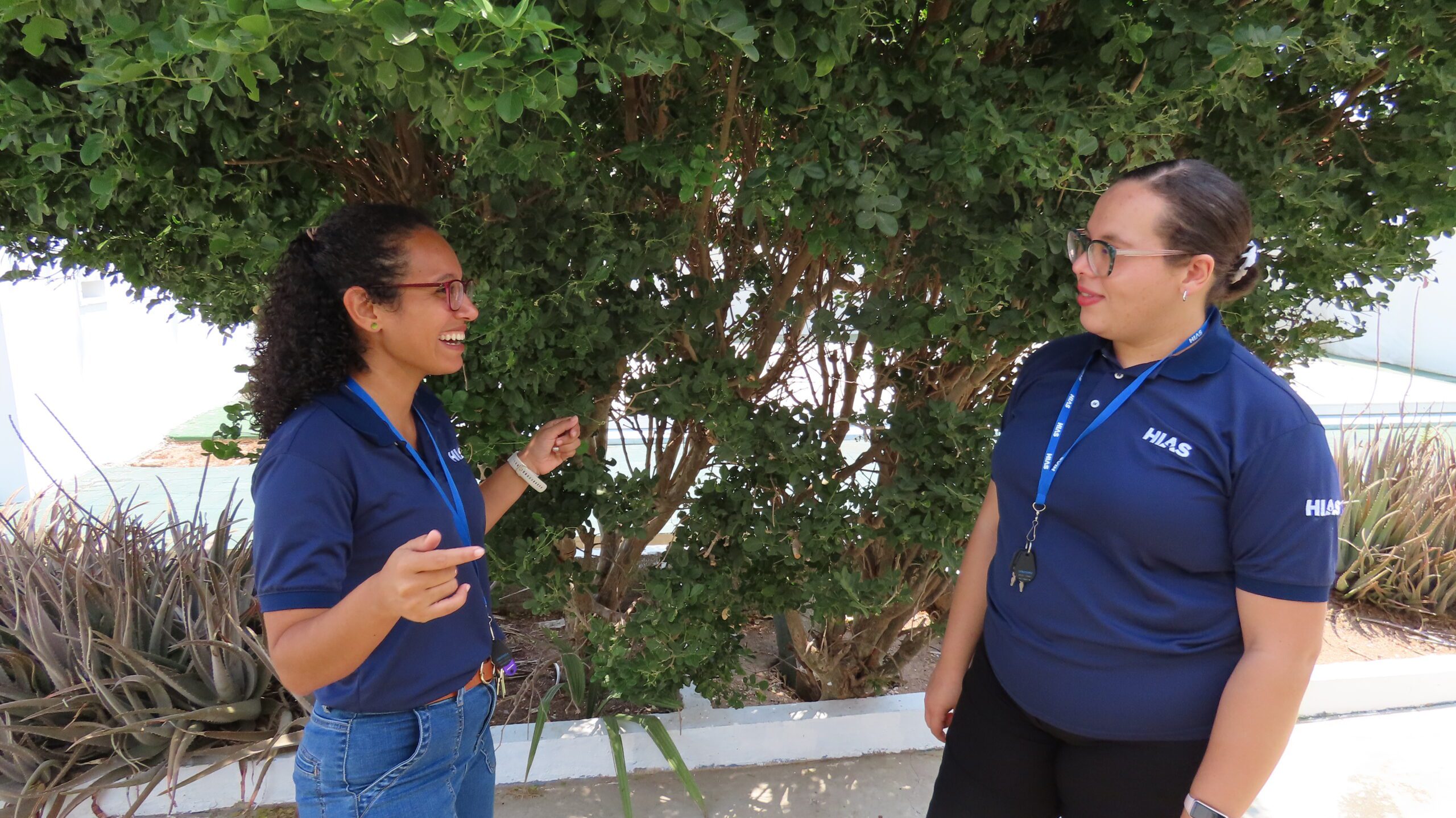 Empowering Organizations in the Caribbean through Localization